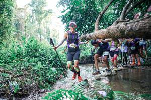 BIB: 
                            <button type="button" onclick="openModal(25456240)" class="btn btn-primary btn-sm float-right btn-popup" data-toggle="modal" data-target=".modal-high-quality">
                        <i class="fas fa-shopping-cart"></i> Add to Cart
                    </button>
                                            <button type="button" onclick="isThisMe(25456240, true)" class="btn btn-success btn-sm float-right btn-popup btn-isme hidden" data-toggle="tooltip" data-placement="bottom" title="นี่คือรูปของคุณใช่ไหม คลิกที่นี่เพื่อเอาเข้าอัลบั้ม">
                        <i class="fas fa-plus"></i> Add to album
                    </button>
                    <button type="button" onclick="isThisMe(25456240, false)" class="btn btn-warning btn-sm float-right btn-popup btn-isnotme hidden">
                        <i class="fas fa-ban"></i> Remove from album
                    </button>